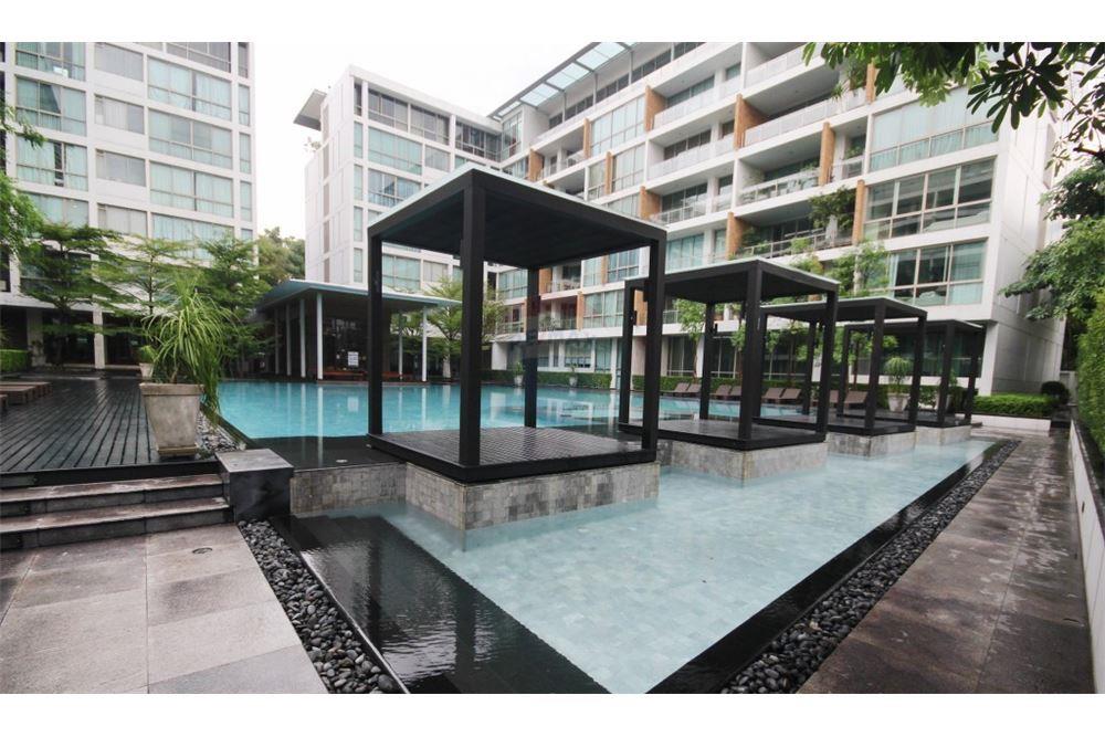 ขายและให้เช่าคอนโด Ficus เลน Cinkara