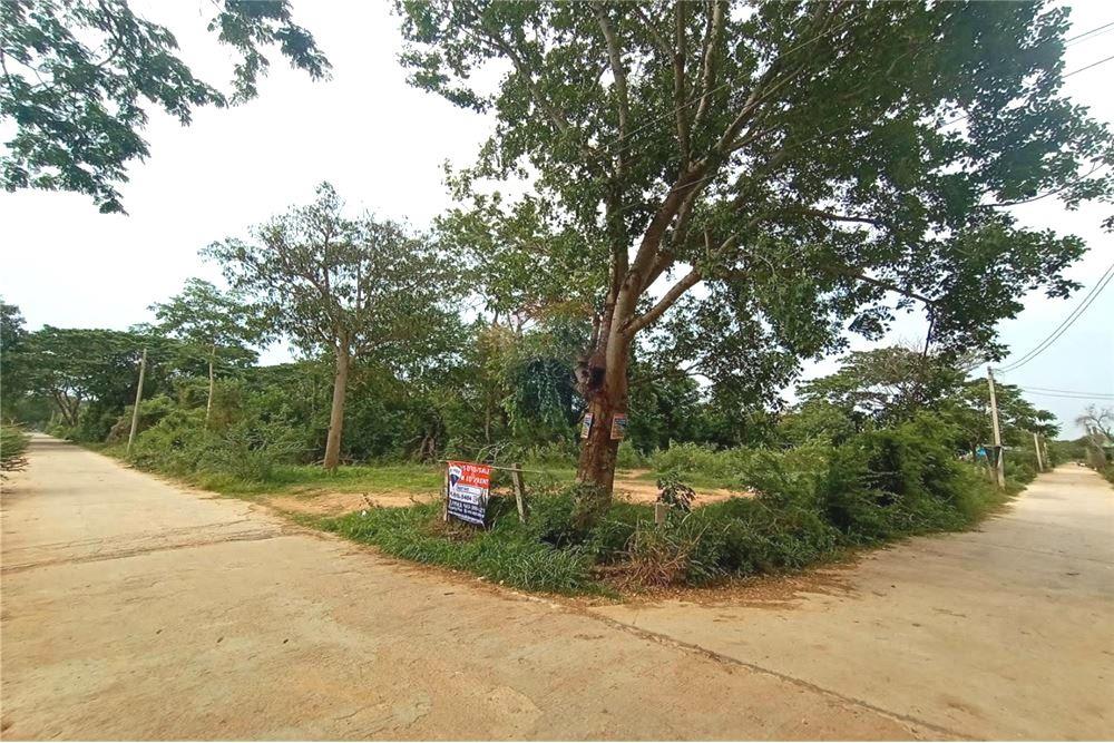 ขายที่ดินเปล่า และให้เช่าในชัยภูมิ
