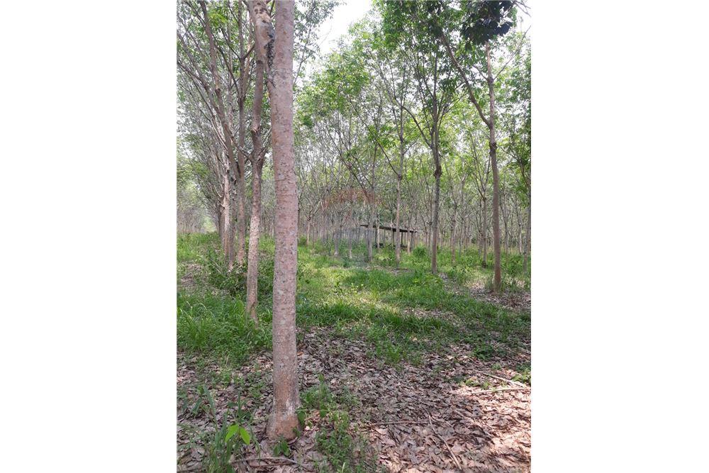  North-East, Ubon Ratchathani English - Thailand 2