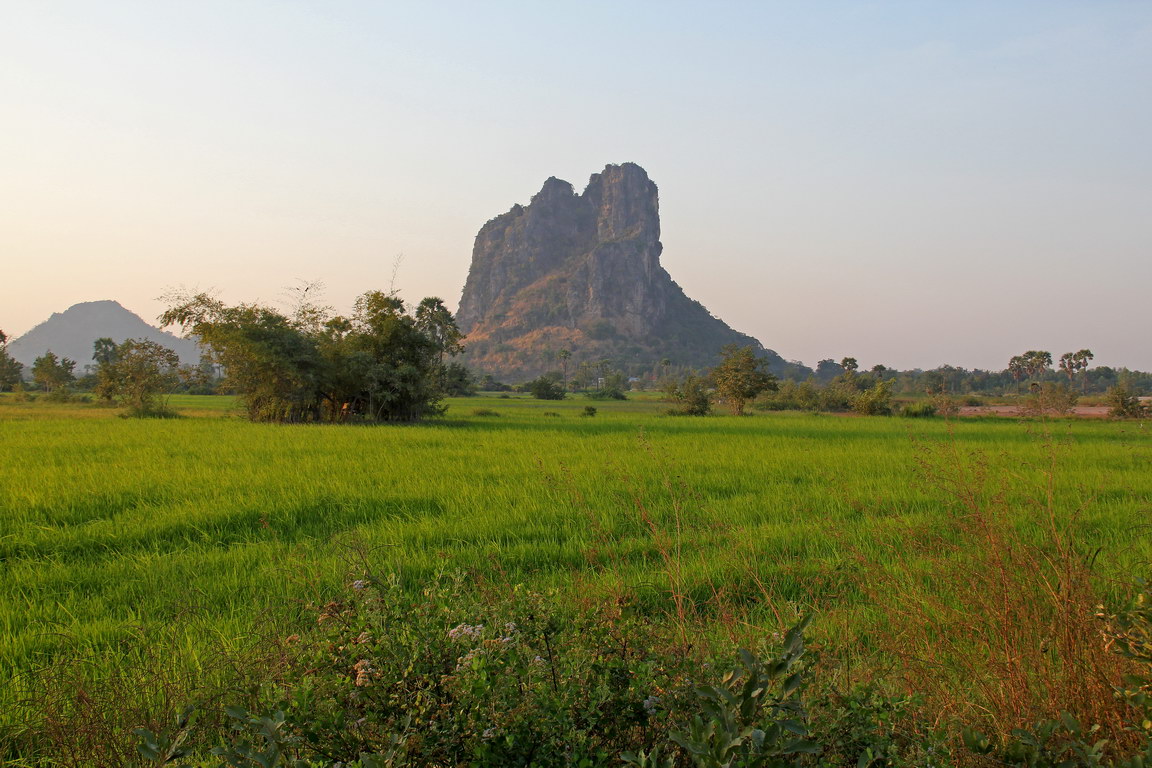 อสังหาริมทรัพย์สำหรับขาย - คอนโดบ้านที่ดิน