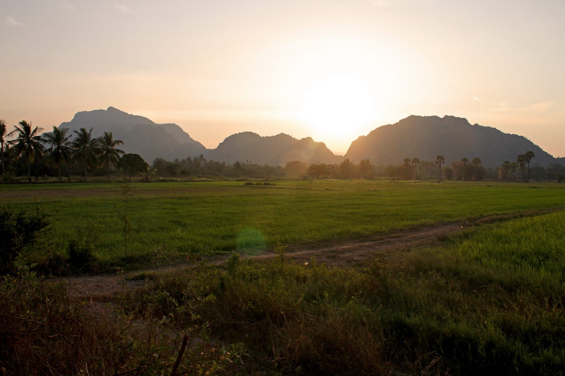 อสังหาริมทรัพย์สำหรับขาย - คอนโดบ้านที่ดิน