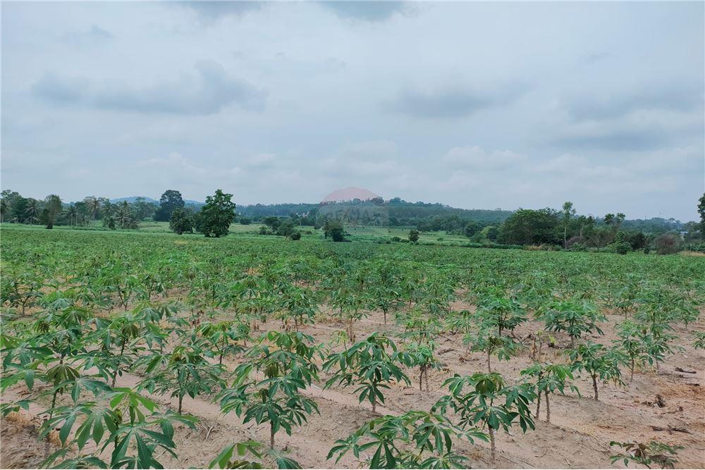 Land for Sale Isan Real Estate 